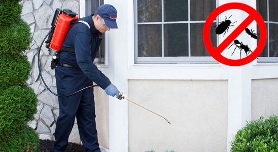 Körfez Böcek İlaçlama böcek ilaçlama ve haşere kontrolü — ilaclama-tr.com